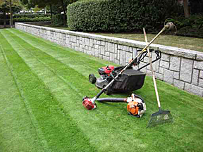 auckland lawn mowing